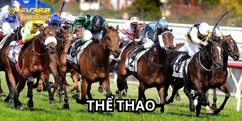 Cá cược đua ngựa rất thú vị