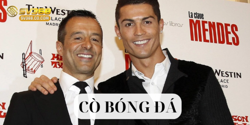 Cách thức hoạt động của Cò Bóng Đá