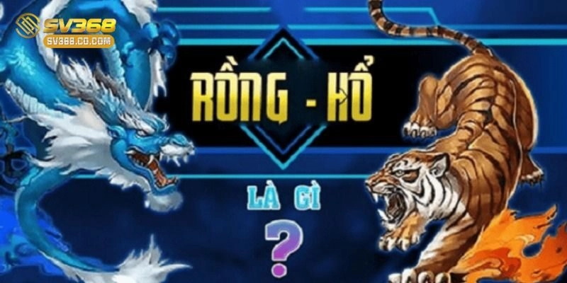 Chơi rồng hổ hiệu quả với cách chơi đơn giản