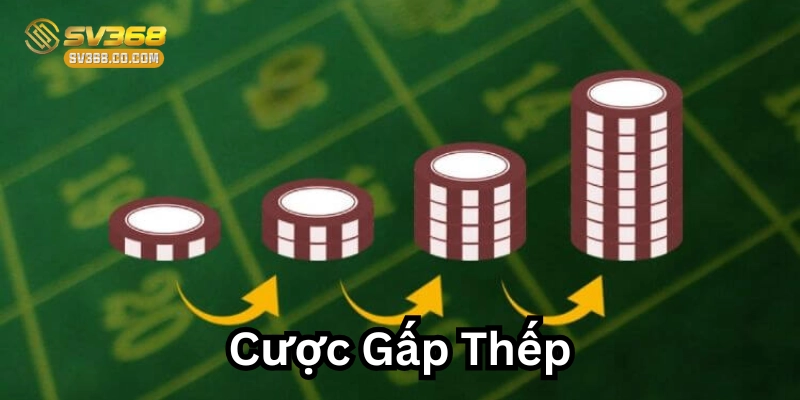 Cược Gấp Thếp có hiệu quả?