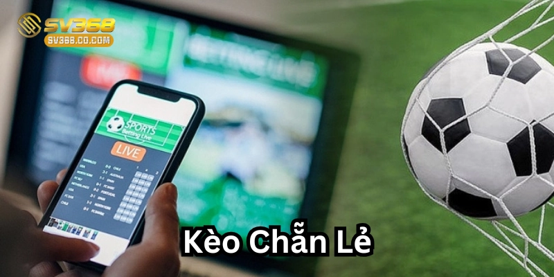 Kèo Chẵn Lẻ – Cách Chơi, Kinh Nghiệm & Chiến Lược Hiệu Quả