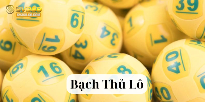 Hướng dẫn các bước chơi