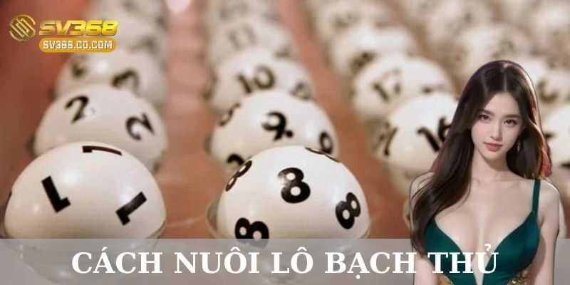 Cách nuôi lô bạch thủ hiệu quả và ít rủi ro