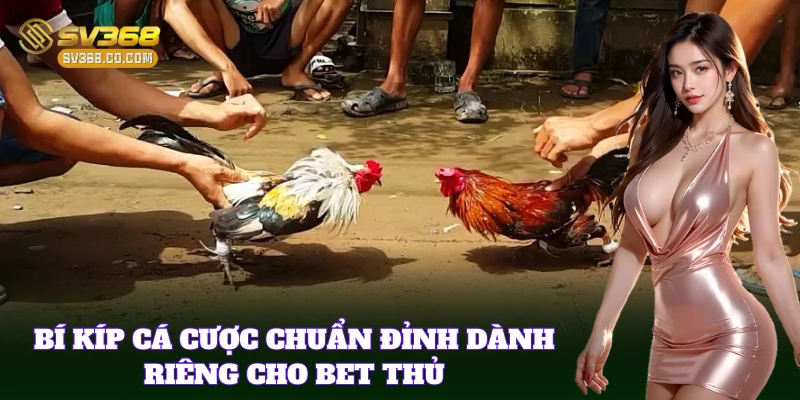 Bí kíp áp dụng Luật Chơi Đá Gà Online giúp tối ưu cá cược