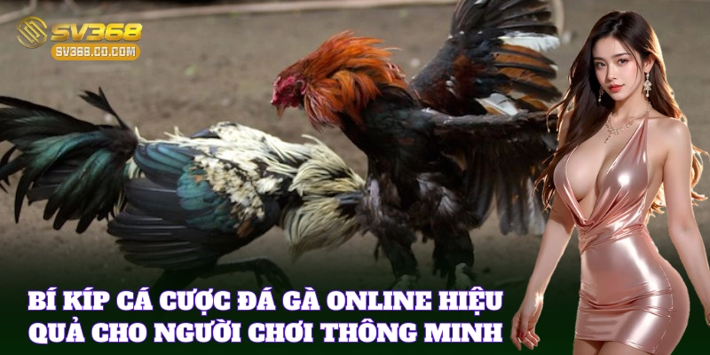 Đá Gà SV368 Có Uy Tín Không? Hé Lộ Thông Tin Chi Tiết Nhất
