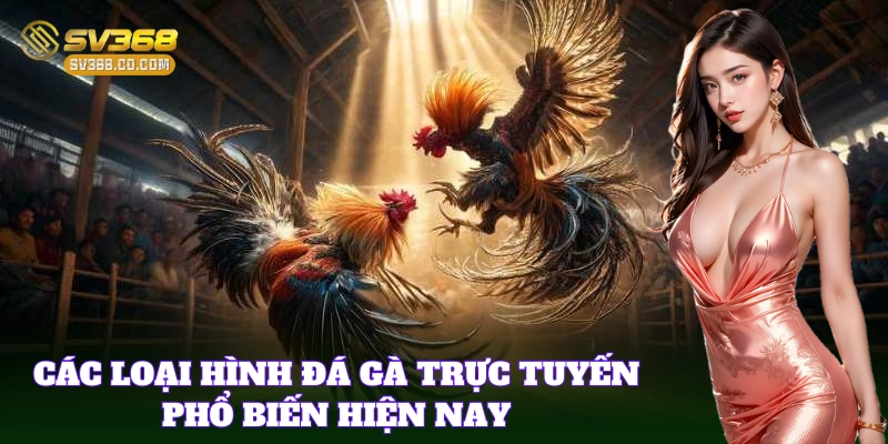 Các loại hình đá gà trực tuyến hot nhất