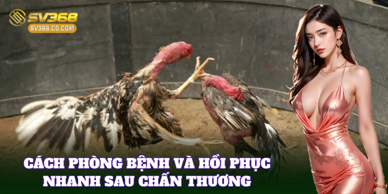 Kinh Nghiệm Nuôi Gà Đá Hay chuẩn giúp phát huy tốt