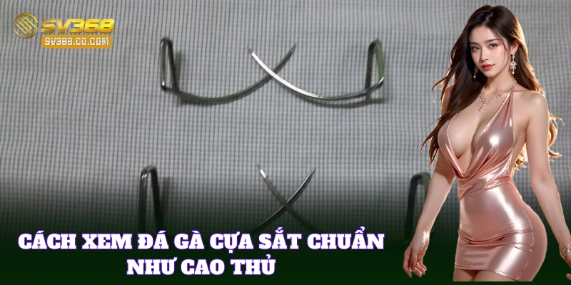 Cách Xem Đá Gà Cựa Sắt từ dân chuyên