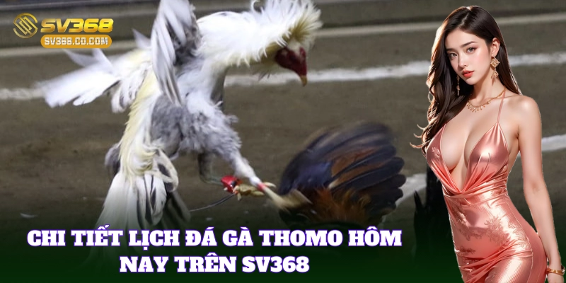 Cập nhật Lịch Đá Gà Thomo Hôm Nay liên tục mới