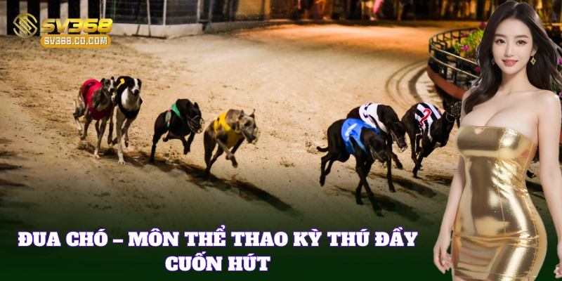 Trải nghiệm kịch tính cùng sân chơi Cá Cược Đua Chó