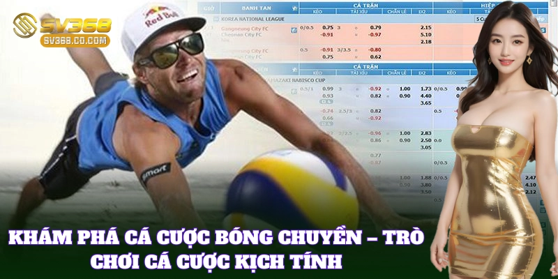 Cá Cược Bóng Chuyền hấp dẫn với tỷ lệ ăn cao