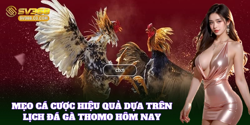 Cược thông minh nhờ Lịch Đá Gà Thomo Hôm Nay chính xác