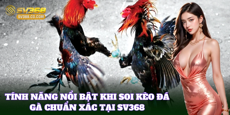 Khám phá tính năng khi Soi Kèo Đá Gà Chuẩn Xác