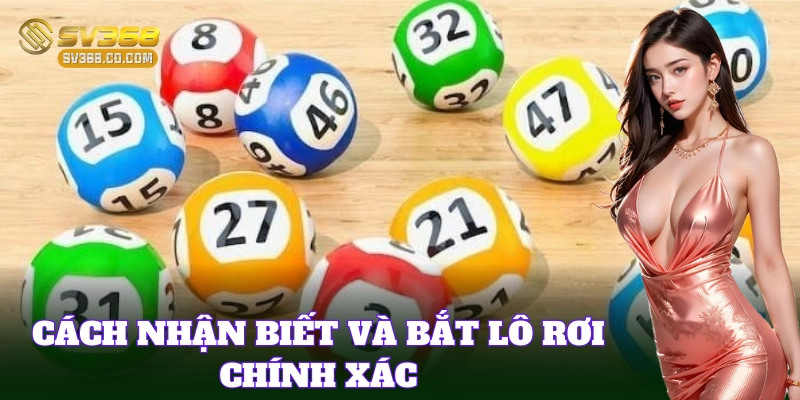 Cách nhận biết Lô Rơi hiệu quả mỗi ngày